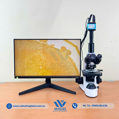 vttn-vuong-icc-1014-tuy-song (2).jpg